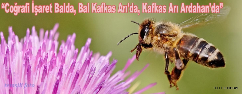 Arıcılık çalıştayı düzenlendi