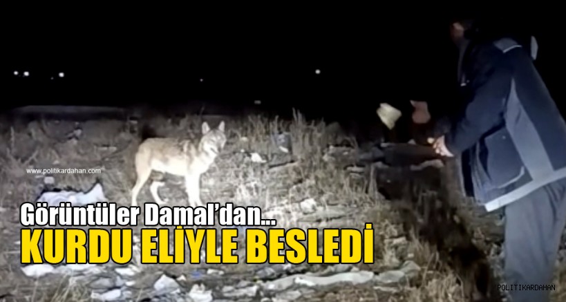 KURDU ELİYLE BESLEDİ… O ANLAR KAMERADA