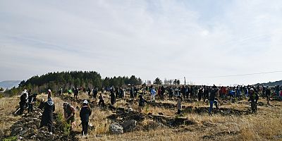 3 bin fidan toprakla buluşturuldu