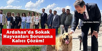 Ardahan’da Sokak Hayvanları Sorununa Kalıcı Çözüm!