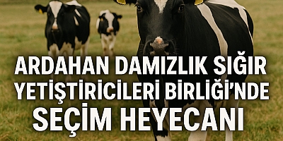 Ardahan Damızlık Sığır Yetiştiricileri Birliği’nde seçim heyecanı