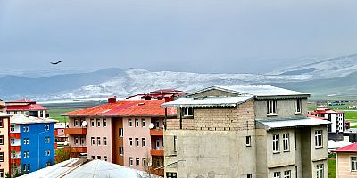 Ardahan’ın yüksek kesimleri, dolu yağışıyla beyaza büründü