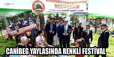 Canibeg Yaylasında renkli festival 