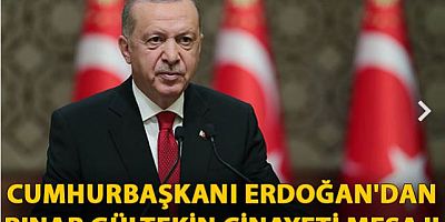 Cumhurbaşkanı Erdoğan'dan Pınar Gültekin cinayeti mesajı