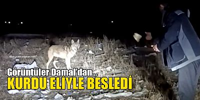 KURDU ELİYLE BESLEDİ… O ANLAR KAMERADA