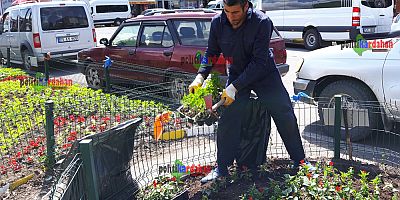 Park ve bahçeler çiçekleniyor