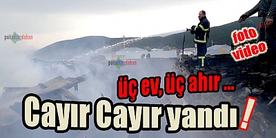 Üç ev, üç ahır…