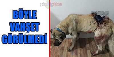 Vahşetin böylesi görülmedi