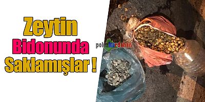 Zeytin bidonunda saklamışlar!